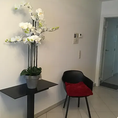 Apartment Large 2-bedroom In The Heart Of T91